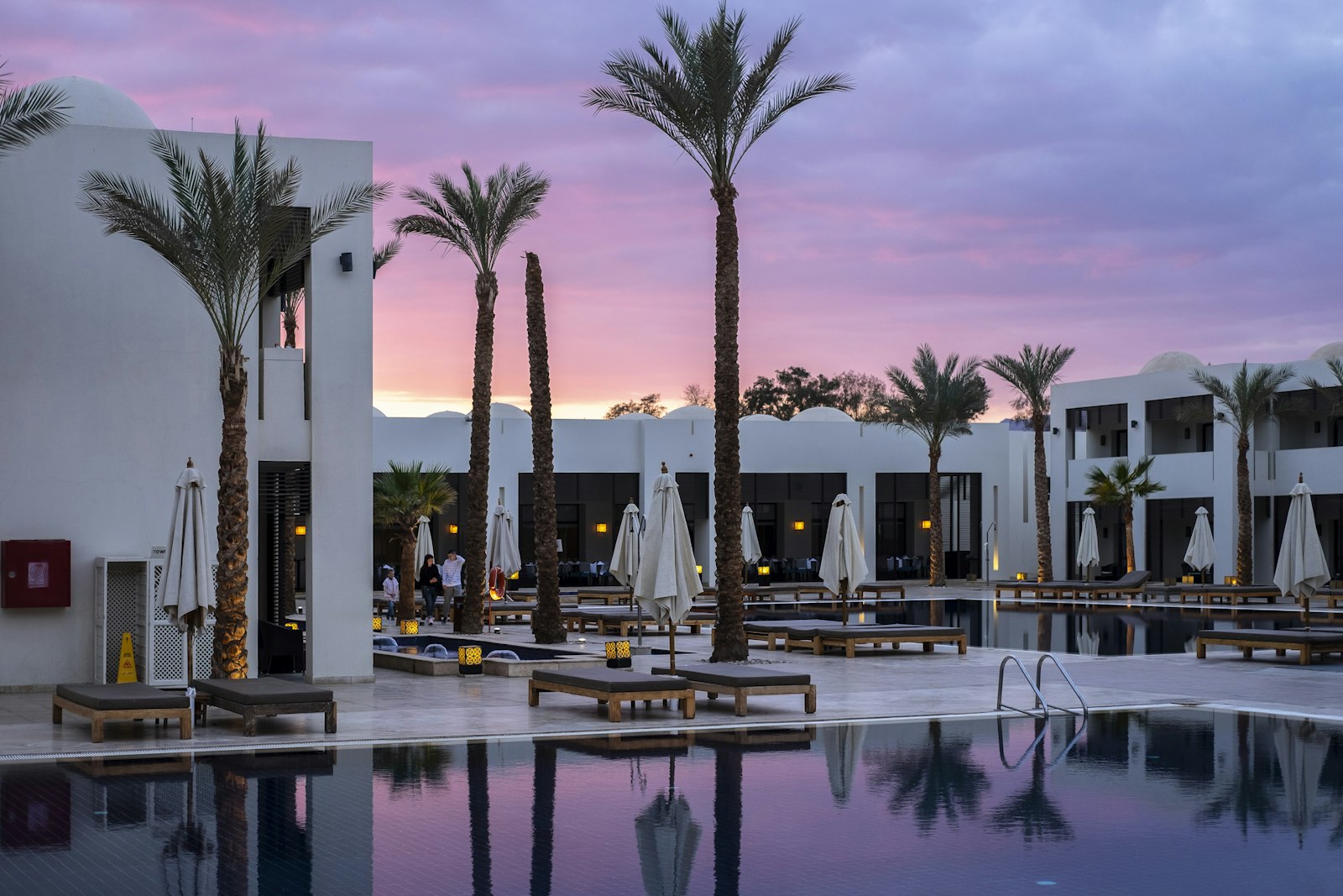 Boutique riad courtyard with palm and plunge pool